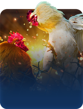 bg_typead06.55307d2d